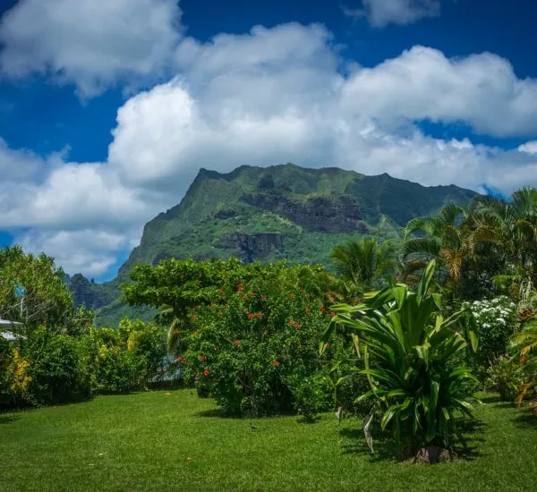 moorea