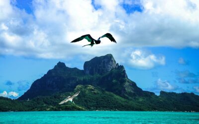 bora-bora-701840_1280